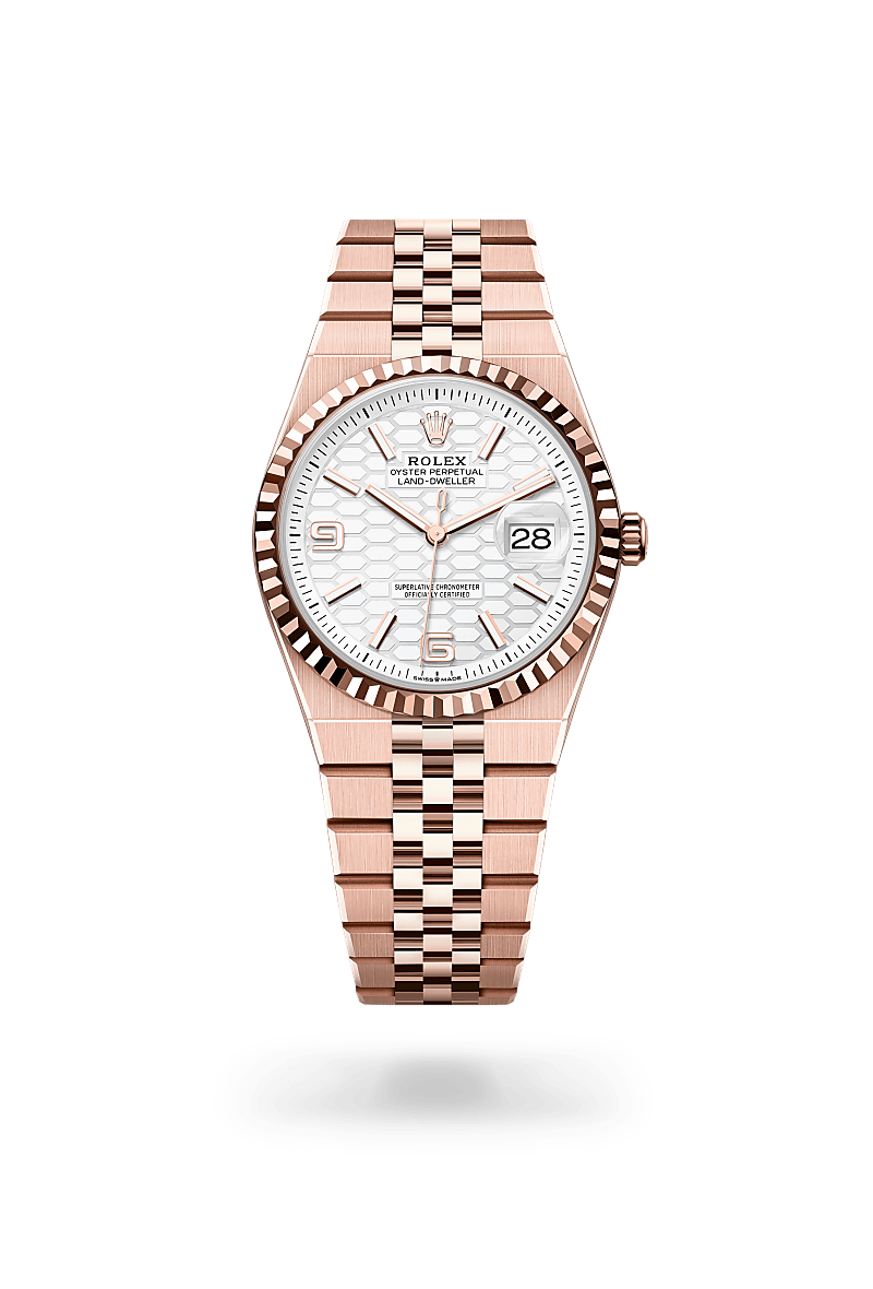 Rolex Land-Dweller 36 in 18 ct Everose gold, M127235-0001 - Global Timepieces