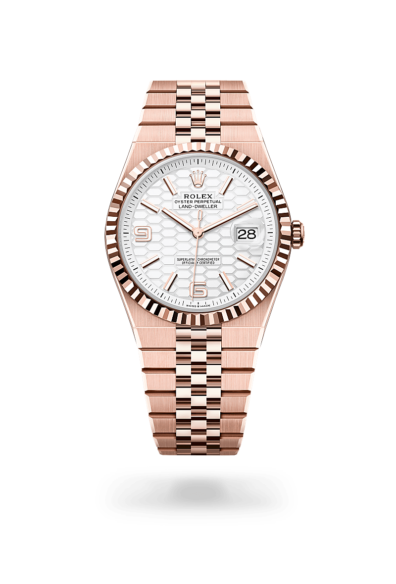 Rolex Land-Dweller 40 in 18 ct Everose gold, M127335-0001 - Global Timepieces